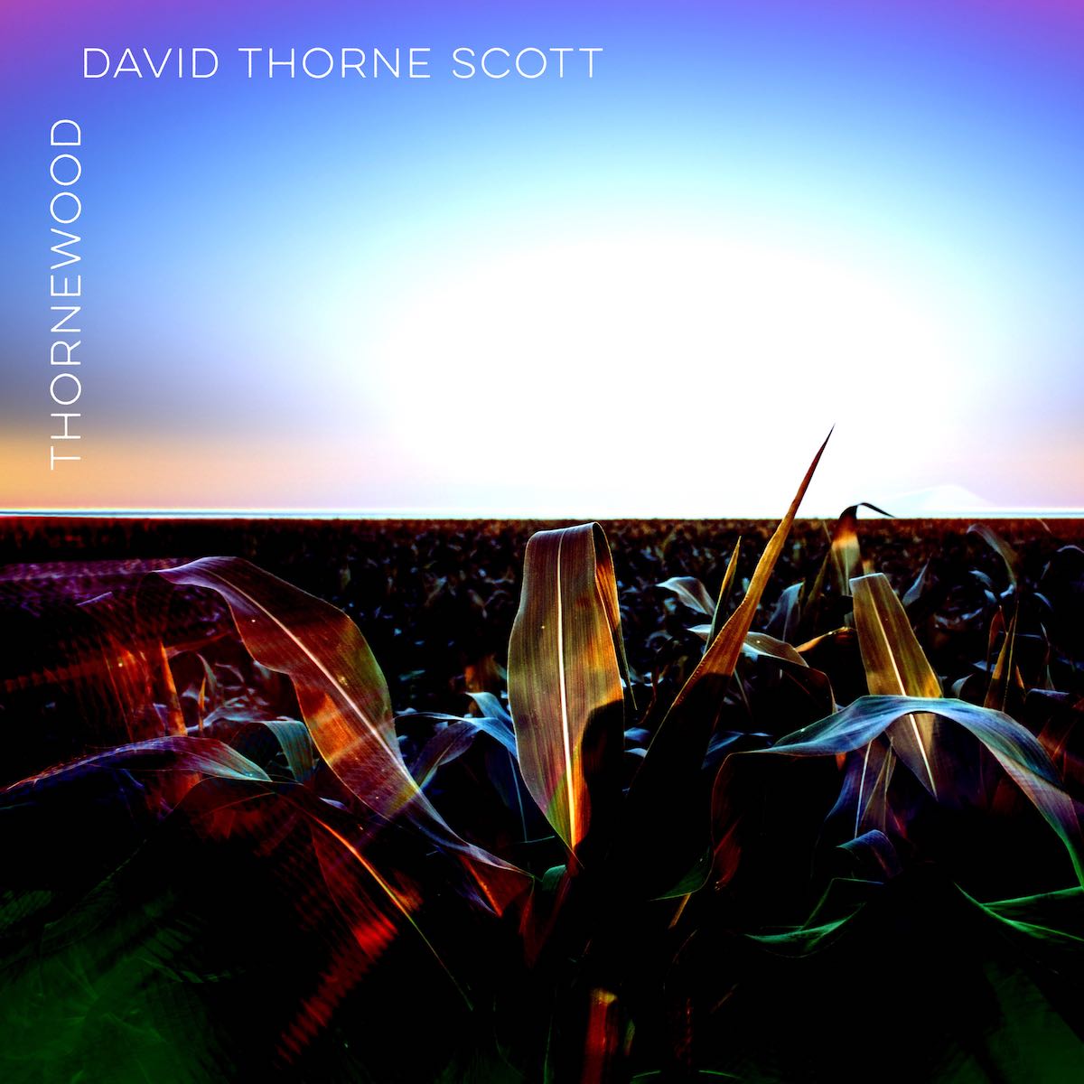David Thorne Scott